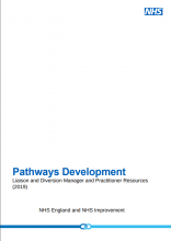 Pathways Development: Liaison and Diversion Manager and Practitioner Resources (2019)